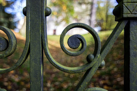 camera image
